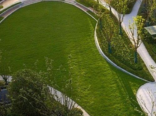 临平公园爆料最新消息视频 第1张 临平公园爆料最新消息视频 第1张